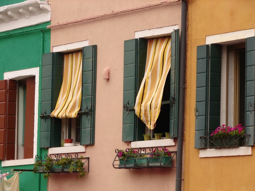 Introduction: Making the Right Window Treatment Choice