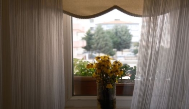 Curtain Mold Prevention: Effective Tips & Solutions
