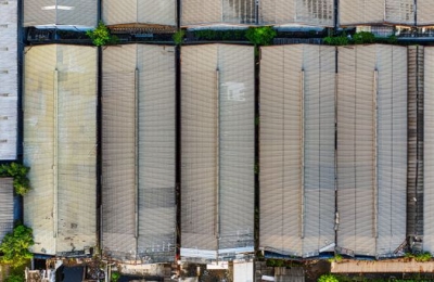 Warehouse Acoustic Curtains: Industrial Noise Control Guide